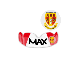 Stellenbosch High School