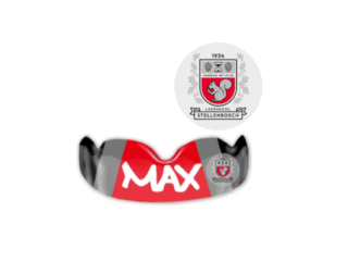 Stellenbosch Primary School