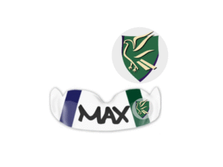 Tyger Valley College