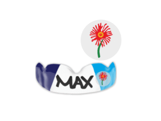 Northerns Hockey Club